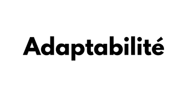 Adaptabilité  Logo Partenaire