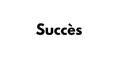 Succès  Logo Partenaire